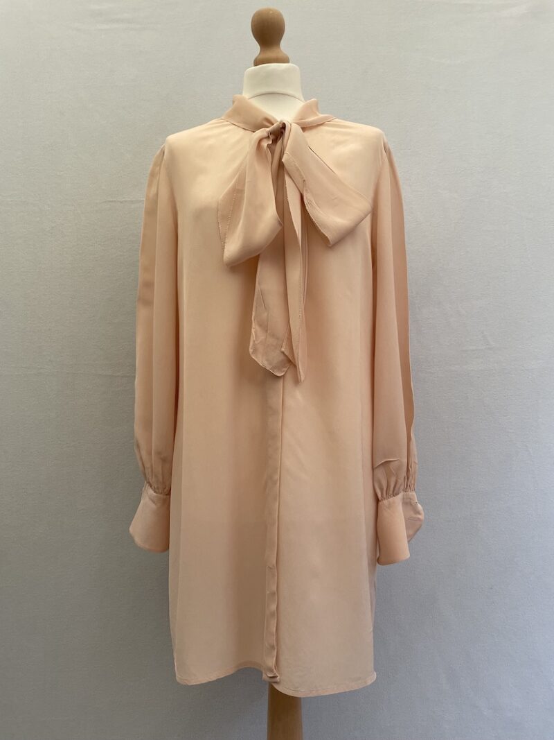 Modern Rarity blush pink blouse with long sleeves