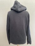 Hollister navy statement hoodie full view