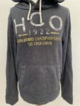 Hollister navy statement hoodie full view